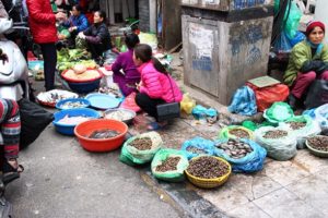 ドンスアン市場の場外売り場で貝や魚を売る女たちの写真